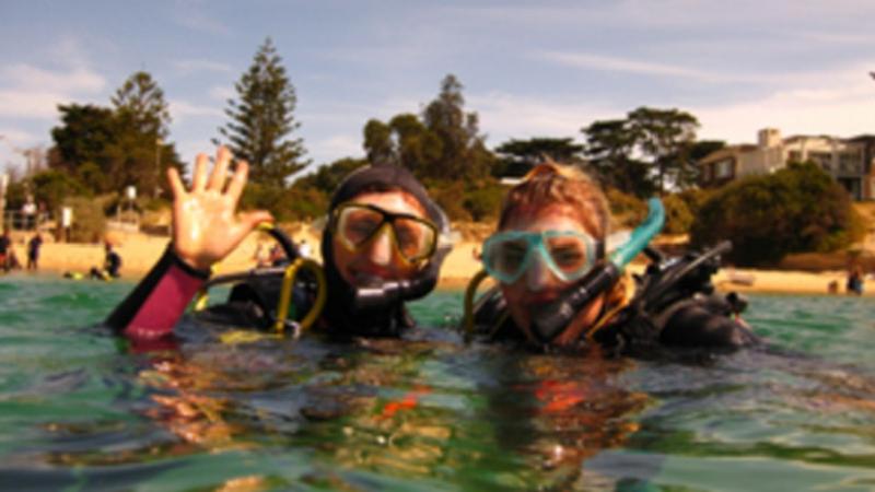 Don't let a lack experience or certification stop you from trying Scuba diving. Learn the basics and experience your first scuba dive on this tour.